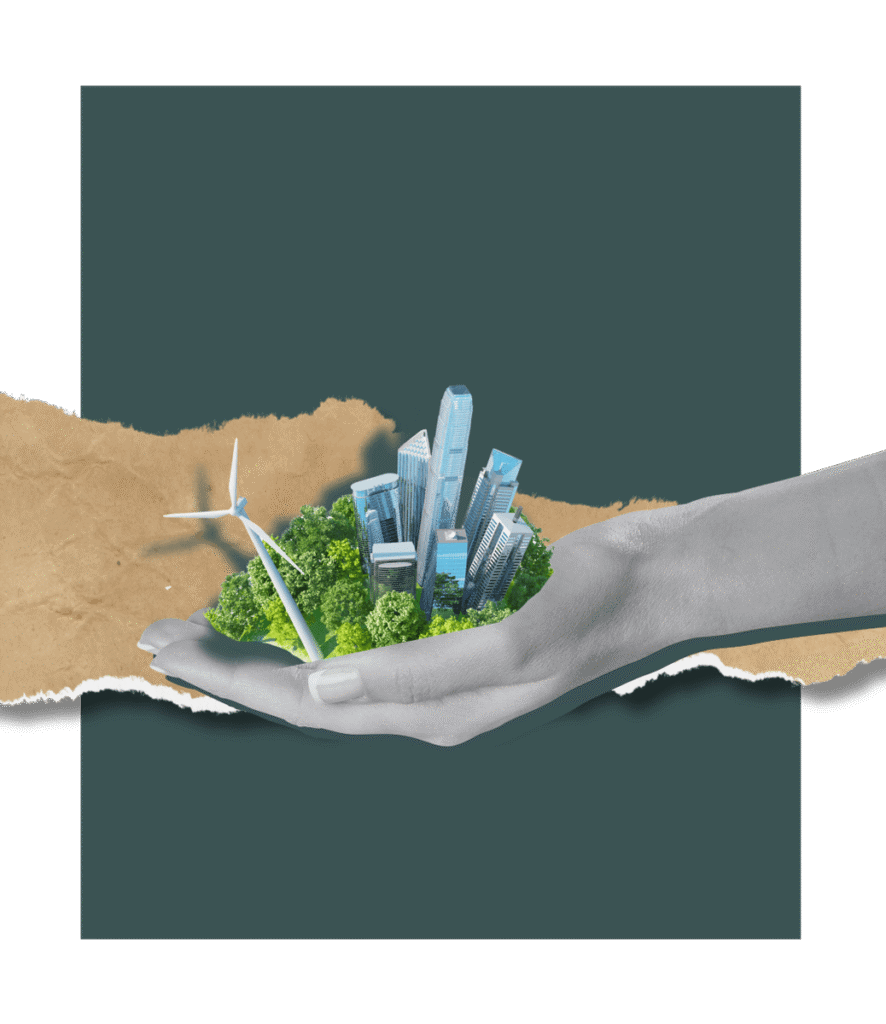 Service sustainability consulting