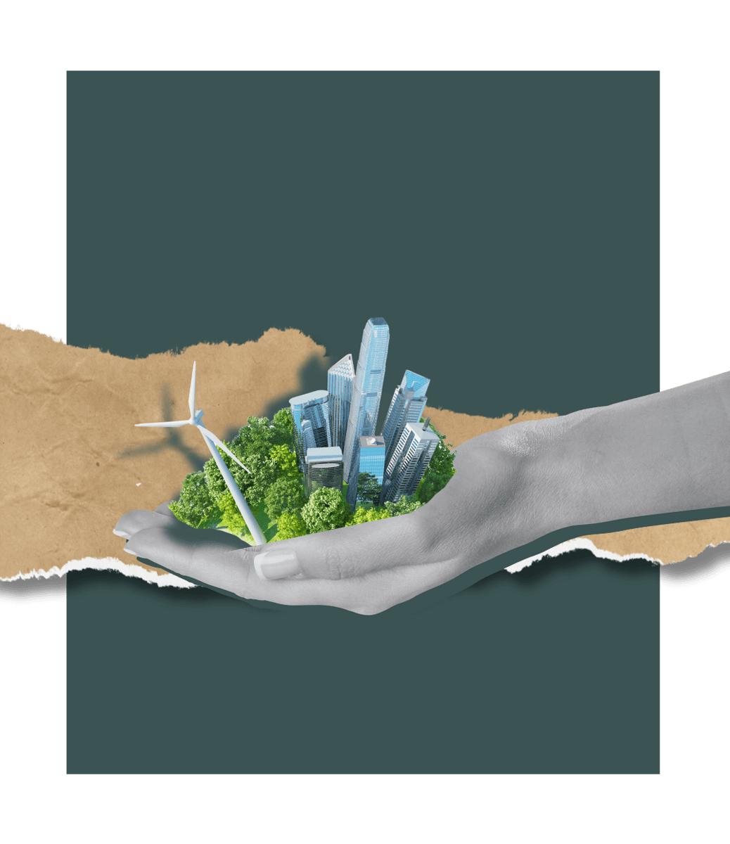 Service sustainability consulting